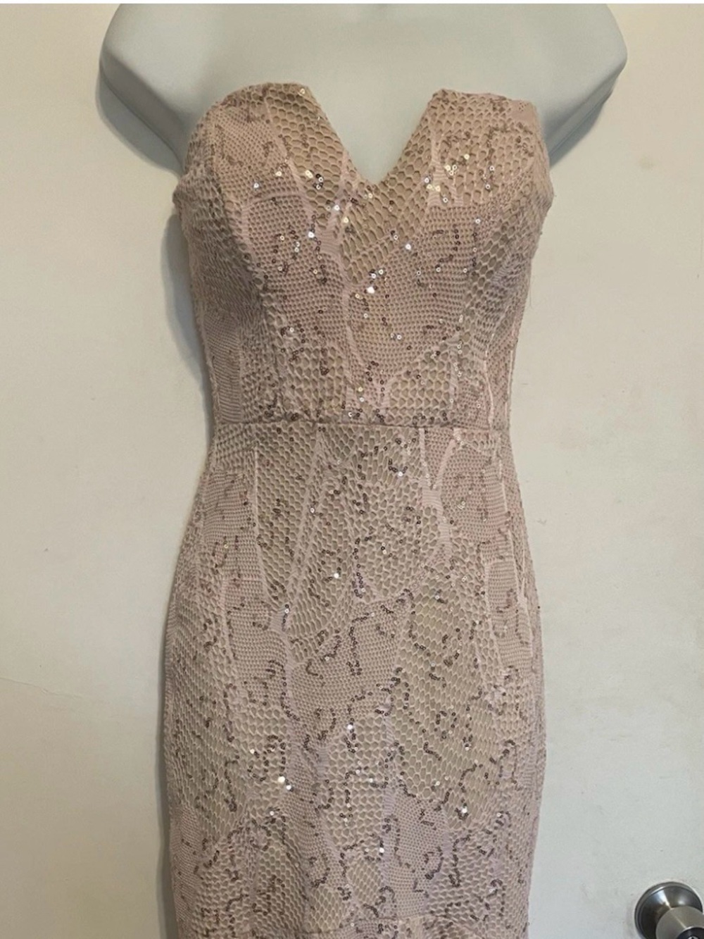 bailey blue Blush Lace Strapless Sequin Gown